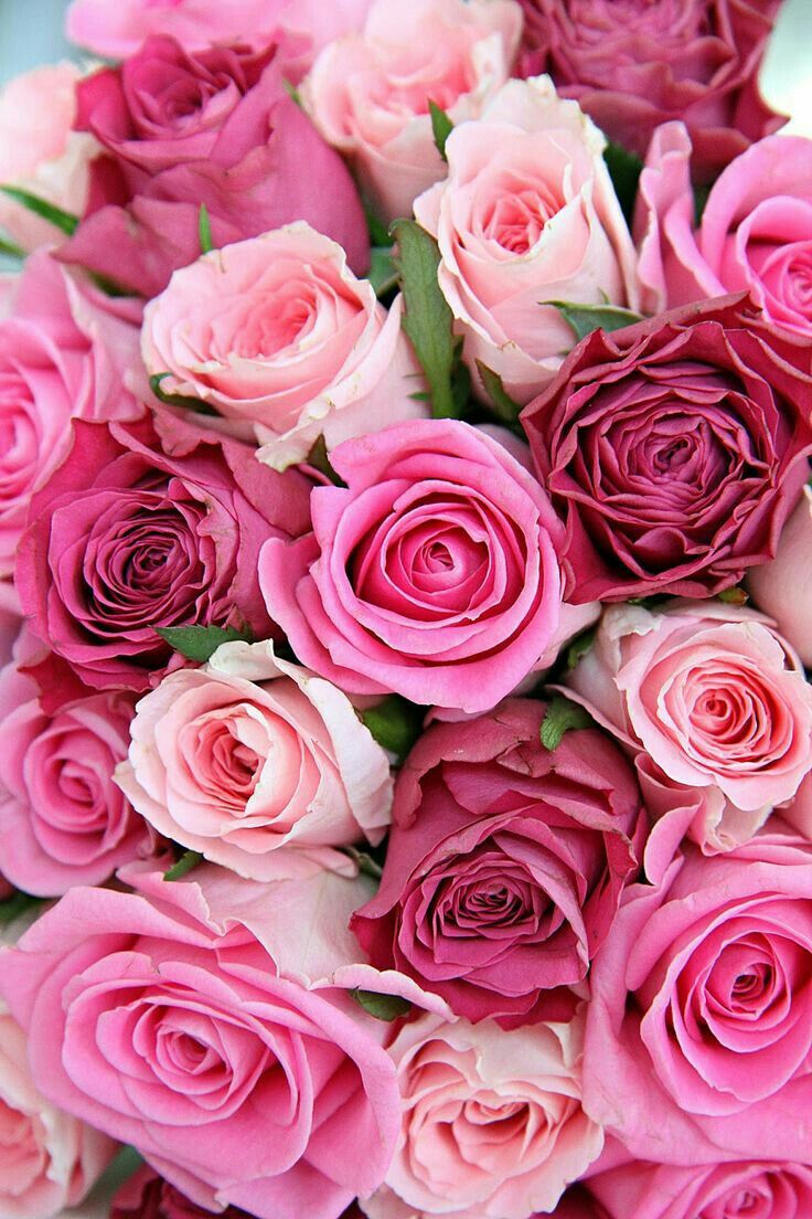 Detalles Especiales